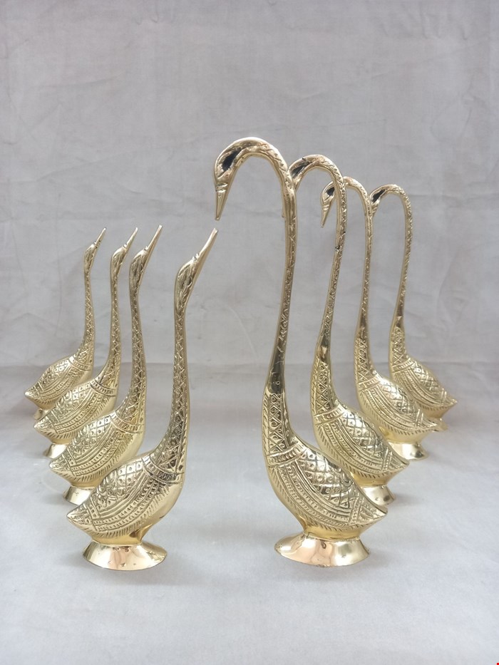 قو عاشق کوچک
